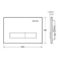 Allen Brau Fantasy 9.20004.20 Накладная панель смыва для унитаза (белый | никель матовый)